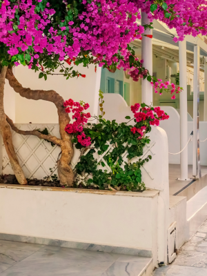copertă_site_mykonos_page