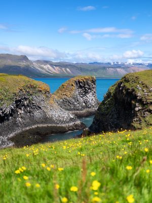 mountains-ocean-iceland-high-rocks-grass-day-time-natural-landscape-summer-iceland-image