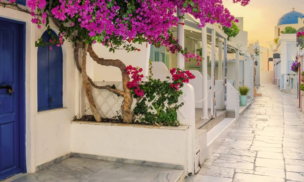 View of Oia street in the mornong, Santorini, Greece